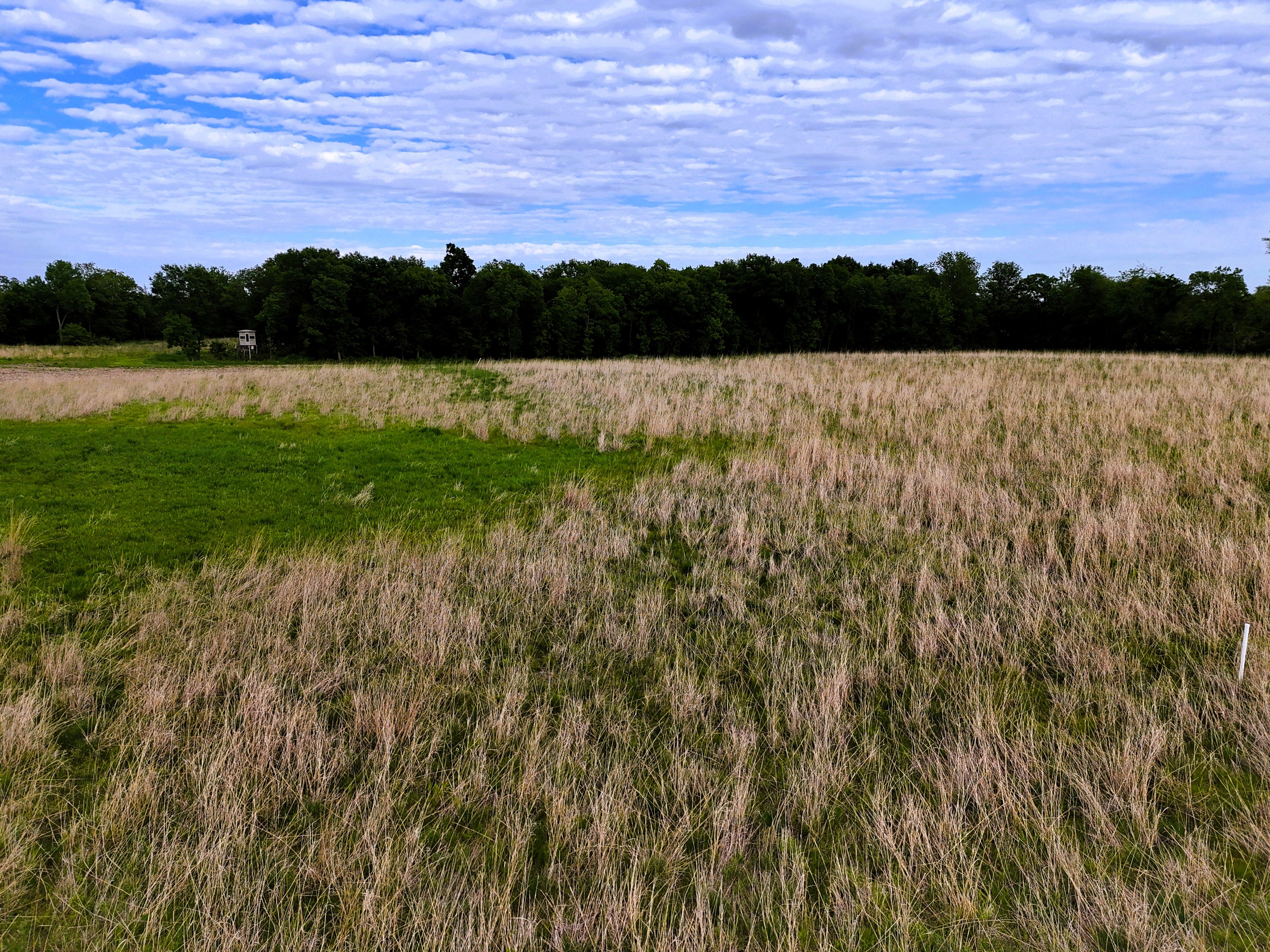Listing Photo: Ground 12